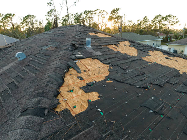 Best Storm Damage Roof Repair  in Glenolden, PA